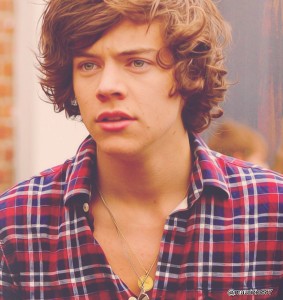 harry-styles-2012-one-direction-32199852-2000-2120.jpg
